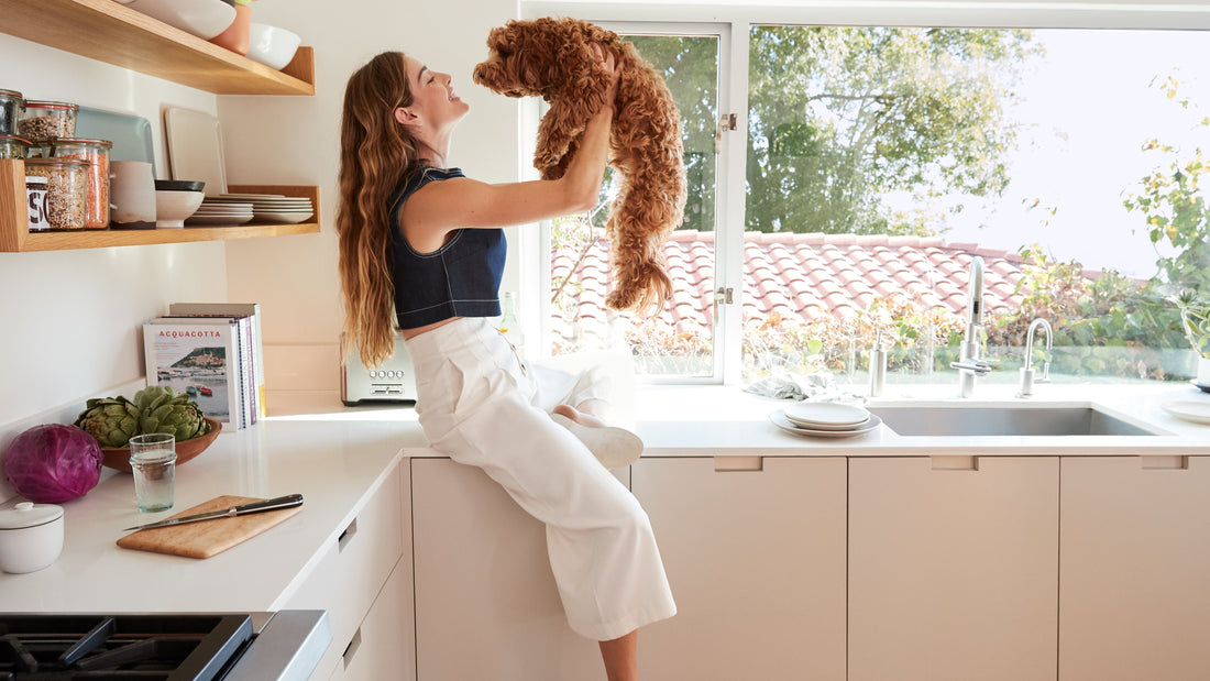 A woman sitting on a kitchen counter lifts a fluffy brown dog toward her face, smiling.