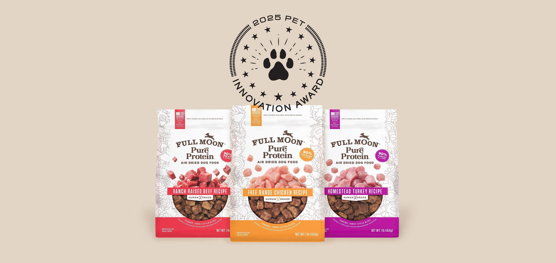 Dog food innovation award