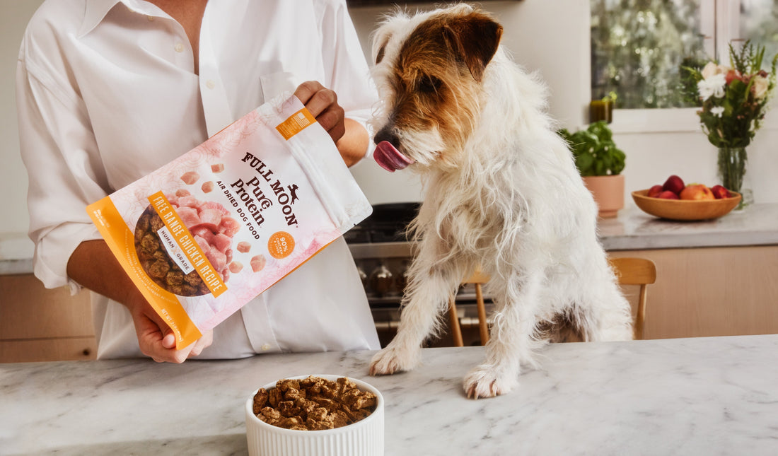 Air Dried Vs. Fresh Frozen Dog Food Explained