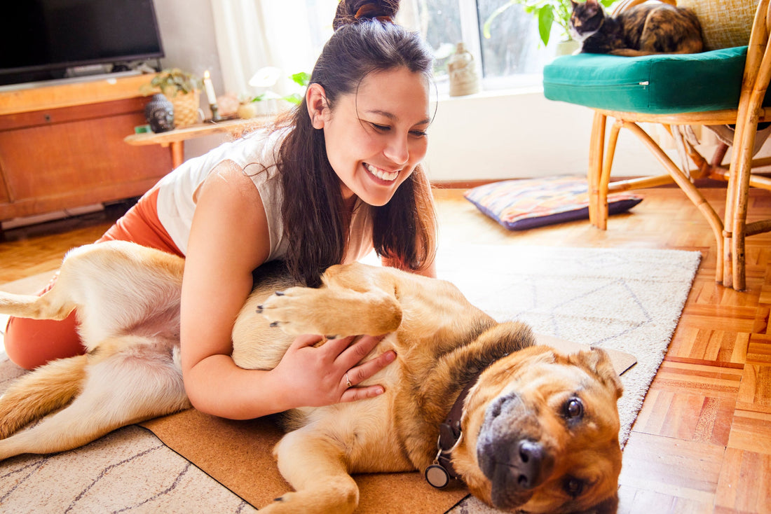 happy german shepard with owner