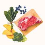 BEEF_DOG_FOOD_INGREDIENTS_BACKGROUND_MOBILE