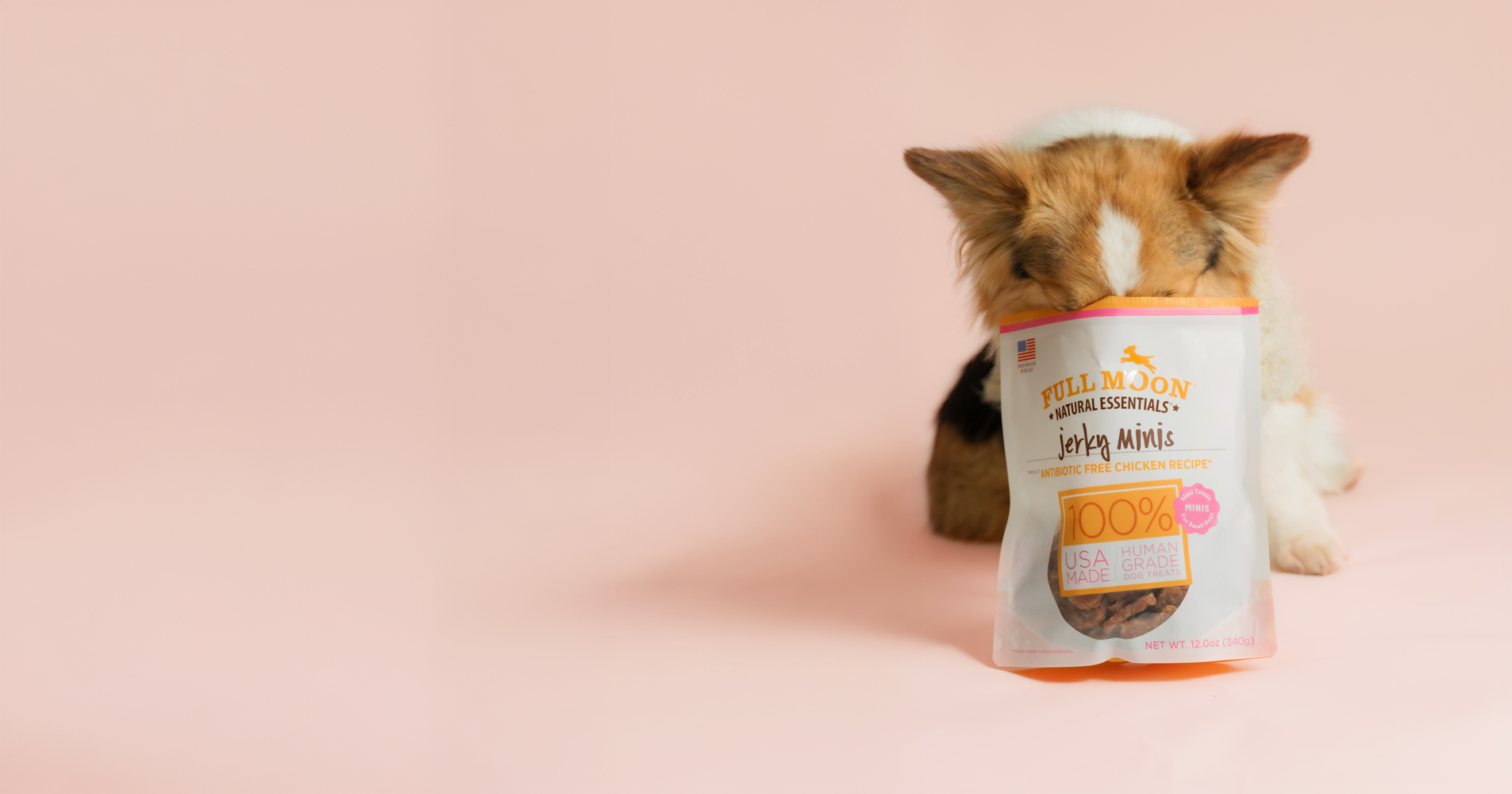 What is the Best Soft Dog Treats for Senior Dogs?