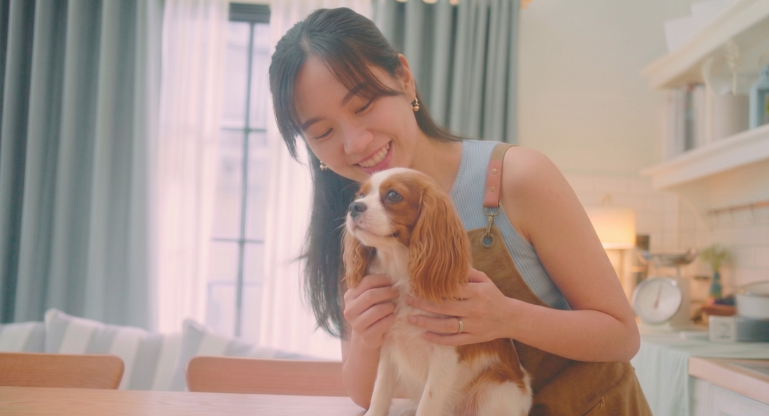 The Best Soft Dog Treats for Dogs With Bad Teeth