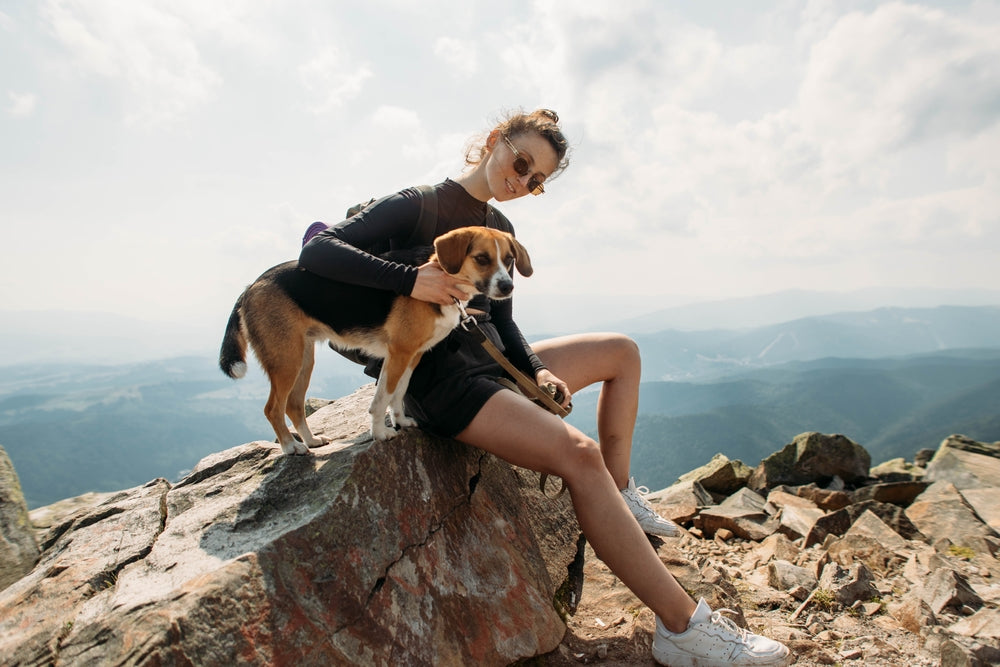 Essential Tips for Hiking with Your Dog